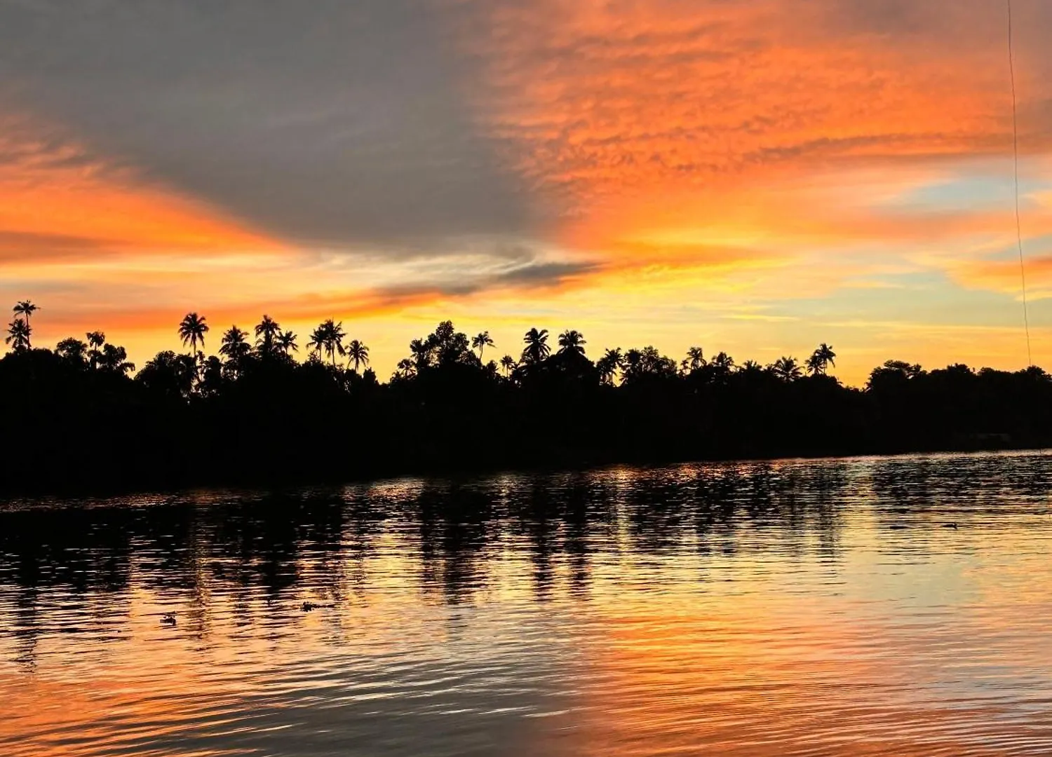 North Paravur River View